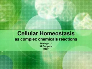 Cellular Homeostasis as complex chemicals reactions