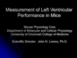 Measurement of Left Ventricular Performance in Mice