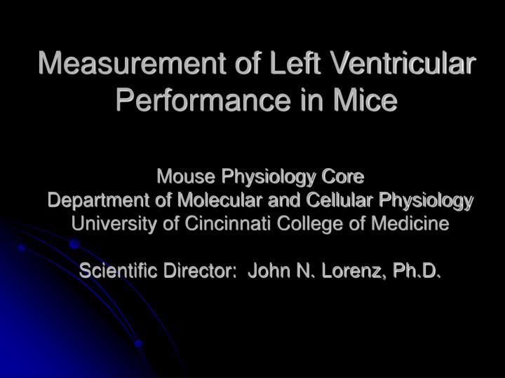 measurement of left ventricular performance in mice