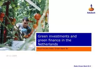 Green investments and green finance in the Netherlands