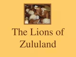 The Lions of Zululand
