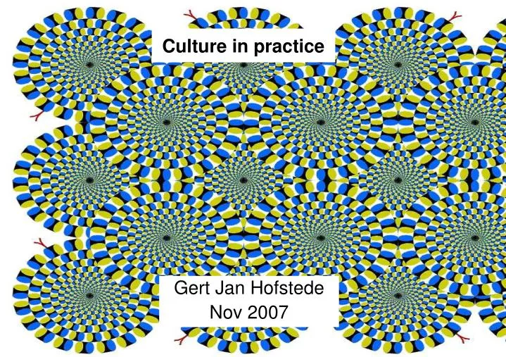 culture in practice