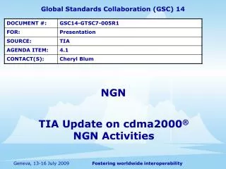 TIA Update on cdma2000 ® NGN Activities