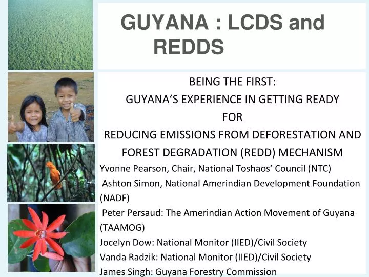 guyana lcds and redds