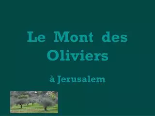 Le Mont des Oliviers à Jerusalem
