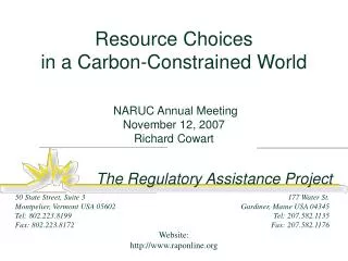 Resource Choices in a Carbon-Constrained World