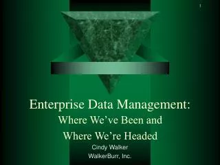 Enterprise Data Management:
