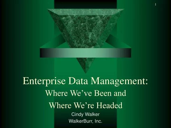 enterprise data management