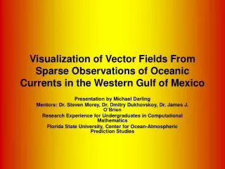 Visualization of Vector Fields From Sparse Observations of Oceanic Currents in the Western Gulf of Mexico