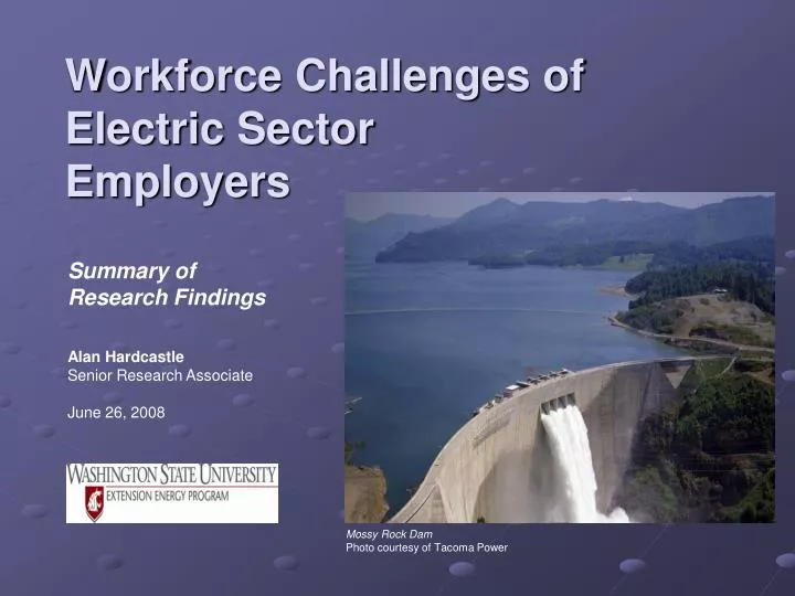 workforce challenges of electric sector employers