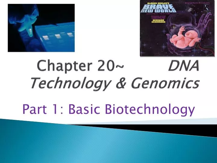 chapter 20 dna technology genomics