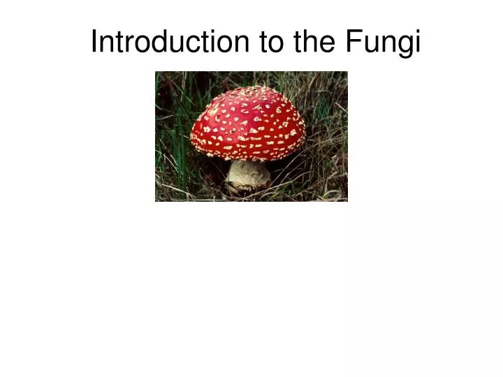 introduction to the fungi