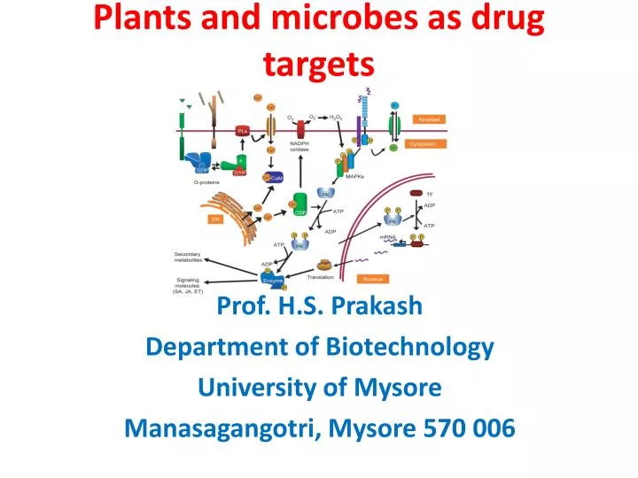 plants and microbes as drug targets