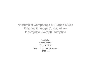 Anatomical Comparison of Human Skulls Diagnostic Image Compendium Incomplete Example Template