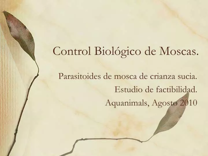 control biol gico de moscas