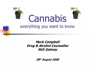 Cannabis everything you want to know