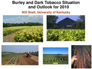 Burley and Dark Tobacco Situation and Outlook for 2010 Will Snell, University of Kentucky