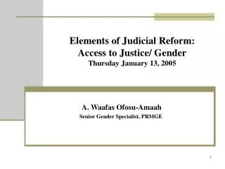 Elements of Judicial Reform: Access to Justice/ Gender Thursday January 13, 2005