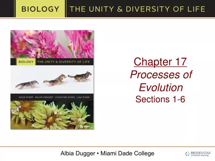 chapter 17 processes of evolution sections 1 6