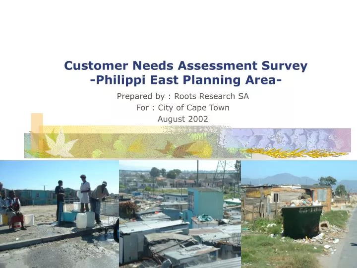 customer needs assessment survey philippi east planning area