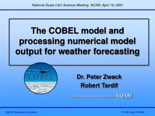 The COBEL model and processing numerical model output for weather forecasting