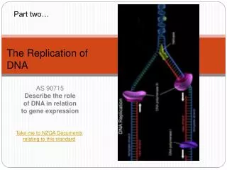 AS 90715 Describe the role of DNA in relation to gene expression