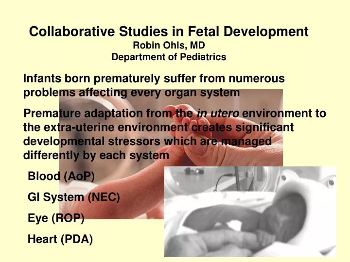 collaborative studies in fetal development robin ohls md department of pediatrics