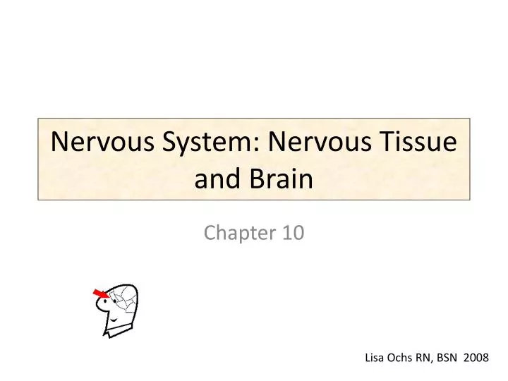 nervous system nervous tissue and brain
