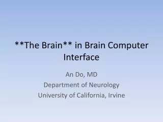 **The Brain** in Brain Computer Interface