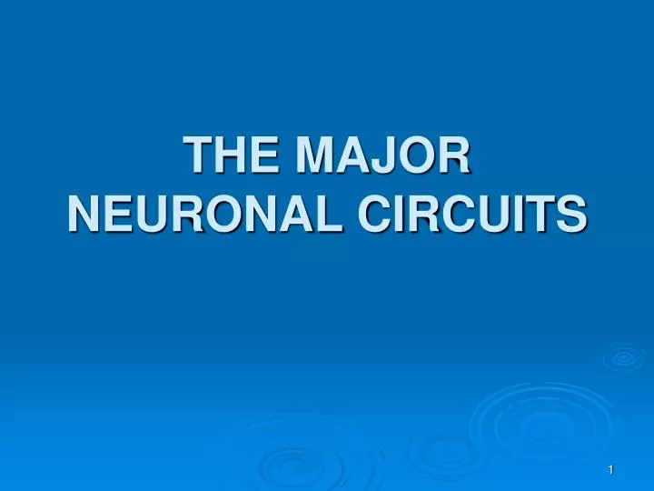 the major neuronal circuits