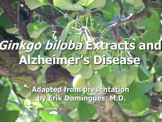 Ginkgo biloba Extracts and Alzheimer’s Disease