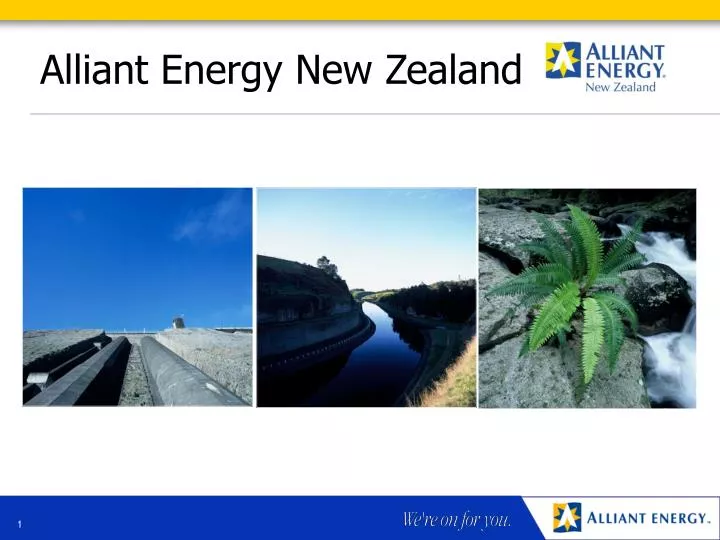 alliant energy new zealand