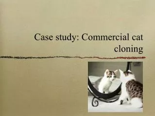 Case study: Commercial cat cloning
