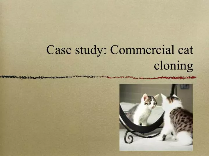 case study commercial cat cloning