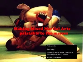 Making Mixed Martial Arts palatable to the masses