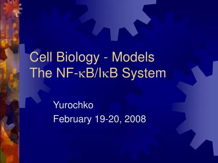 cell biology models the nf k b i k b system