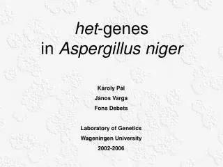 het -genes in Aspergillus niger
