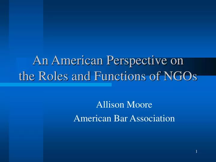 an american perspective on the roles and functions of ngos