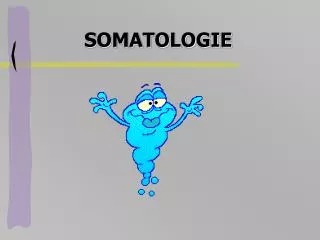 SOMATOLOGIE