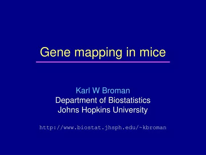 gene mapping in mice