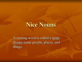 Nice Nouns