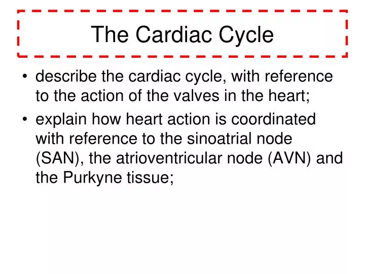 the cardiac cycle