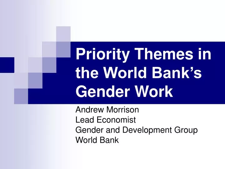 priority themes in the world bank s gender work