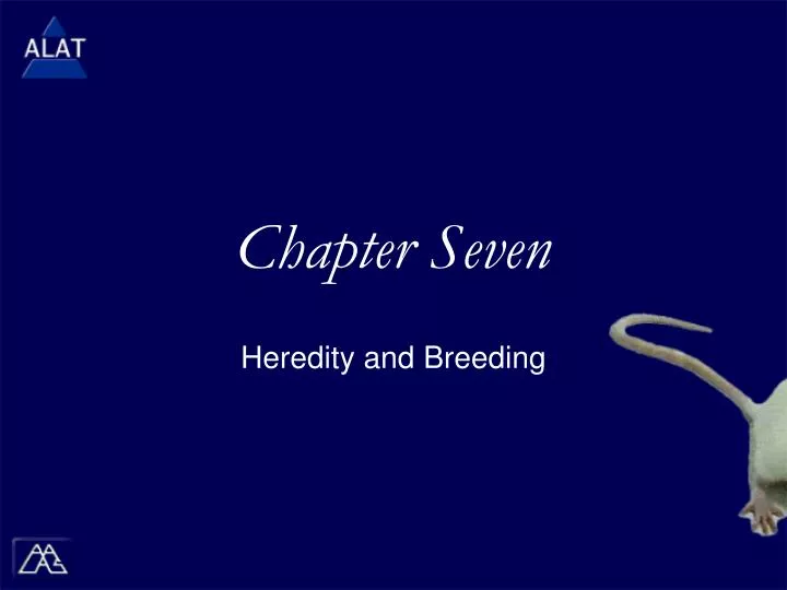 chapter seven