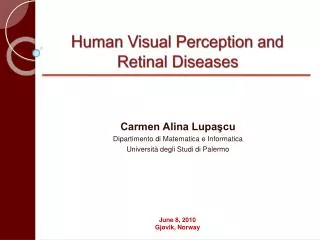 Human Visual Perception and Retinal Diseases