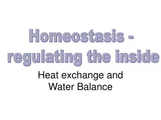 Heat exchange and Water Balance