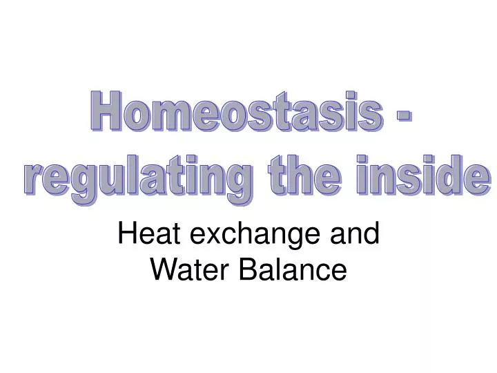 heat exchange and water balance