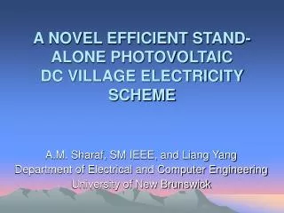 A NOVEL EFFICIENT STAND-ALONE PHOTOVOLTAIC DC VILLAGE ELECTRICITY SCHEME