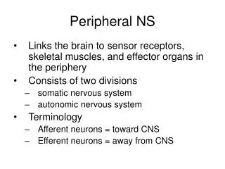 Peripheral NS