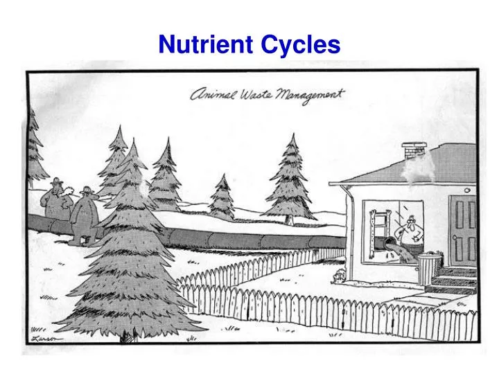 nutrient cycles